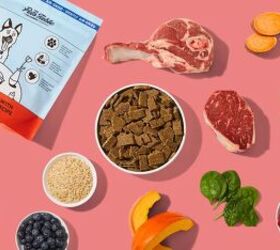 is your picky pup turning their nose up again heres a tasty fix, The Pets Table