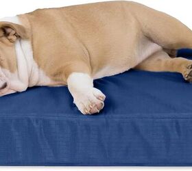 benefits of orthopedic pet beds