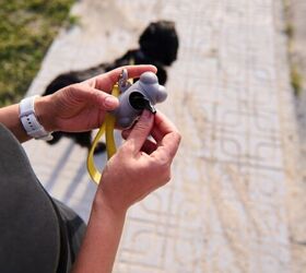 accident proof your dog walks now with these simple leash accessories, Photo credit Taras Grebinets Shutterstock com