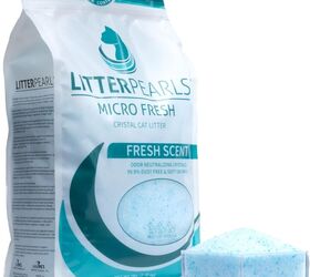 cat doesn t like clumping clay litter check out these alternatives