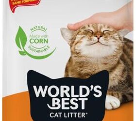 cat doesn t like clumping clay litter check out these alternatives