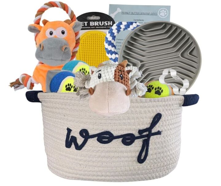 Is Buying Your Pet a Holiday Gift Really Worth It? | PetGuide