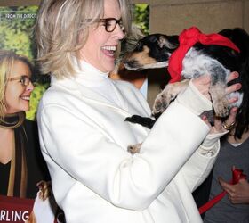actor and animal lover diane keaton gave back, photo credit Joe Steer shutterstock com