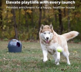 the smart way to spoil your pets this holiday season, PetSafe