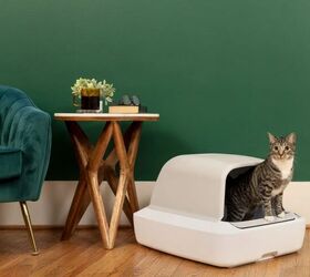 the future of pet care how petsafe tech is making homes smarter, PetSafe