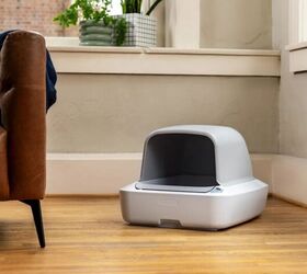 the future of pet care how petsafe tech is making homes smarter, PetSafe