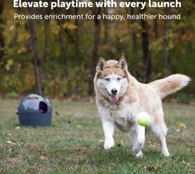 the future of pet care how petsafe tech is making homes smarter, PetSafe