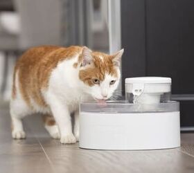 the future of pet care how petsafe tech is making homes smarter, PetSafe