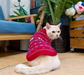 5 brilliant stocking stuffers for your feline friend, BINGPET Cat Clothes Turtleneck Knitted Sleeveless Sweater image via Amazon