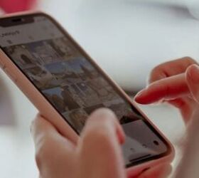 tips to prevent pet theft when youre away from home, Instagram image via Canva