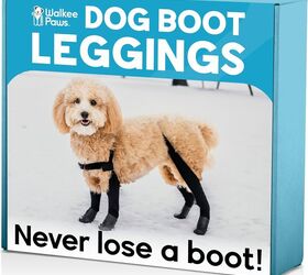 thinking snow protection for the pooch this year check out leggings