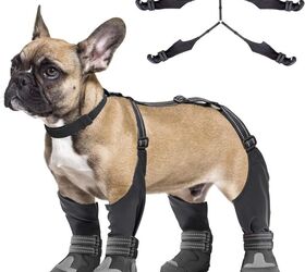 thinking snow protection for the pooch this year check out leggings