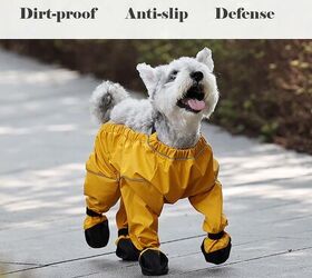 thinking snow protection for the pooch this year check out leggings