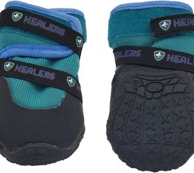 how to get your dog used to wearing booties