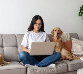 5 Perfect Holiday Gifts for Pet Lovers