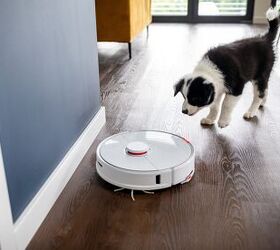Your Pet Is On The Fence When It Comes to Smart Home Automation