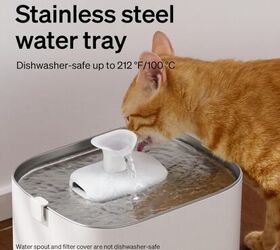 5 amazon gadgets to make owning pets easier, PETLIBRO Upgrade Cat Water Fountain image via Amazon