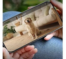 5 amazon gadgets to make owning pets easier, Blink Mini 2K Plug in Home Pet Security Camera image via Amazon