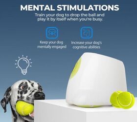 5 amazon gadgets to make owning pets easier, ALL FOR PAWS Automatic Ball Launcher for Dogs image via Amazon