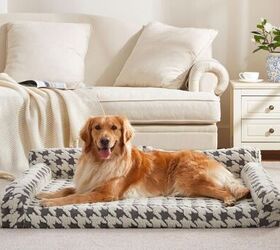 must have items before bringing home a new dog, FURTIME Orthopedic Dog Beds Large Sized Dog image via Amazon