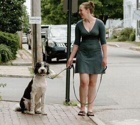 must have items before bringing home a new dog, Fida 5 FT Heavy Duty Dog Leash image via Amazon