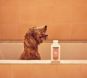 must have items before bringing home a new dog, MRS MEYER S Clean Day 3 in 1 Dog Shampoo image via Amazon