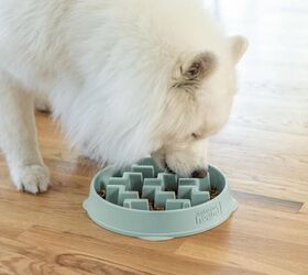 must have items before bringing home a new dog, Outward Hound Large Slow Feeder Bowl image via Amazon