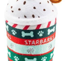 perfect hostess gifts for the pet lover