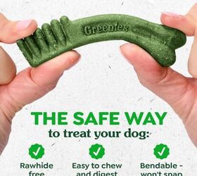 3 easy tips for keeping your dogs teeth healthy, Greenies Veterinarian Recommended Adult Natural Dental Dog Treats image via Amazon