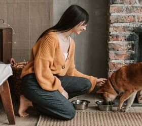 5 Ingredients That Are Great For Your Dog