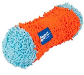 how to support your senior dog this winter, Petmate image via brand