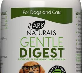 how to introduce a cleanse to your dog s health regimen