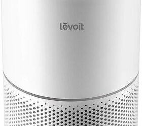 how to introduce a cleanse to your dog s health regimen