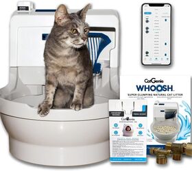 the pros and cons of automatic litter boxes