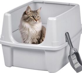 the pros and cons of automatic litter boxes