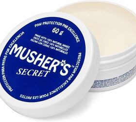 paw injuries in dogs what you should know