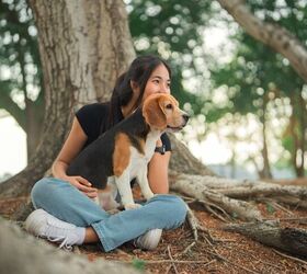 pet parents believe their dogs match their personalities, oatawa Shutterstock