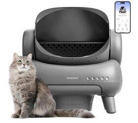 5 smart upgrades every pet owner will want in 2026, Neakasa M1 Plus Open Top Self Cleaning Cat Litter Box image via Amazon
