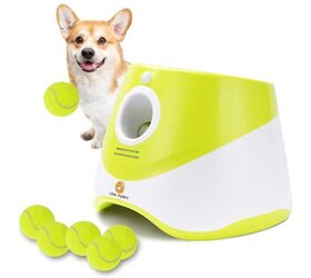 5 smart upgrades every pet owner will want in 2026, Elevon Automatic Dog Ball Launcher image via Amazon