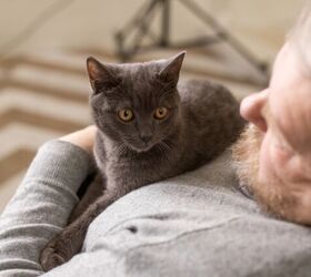 The Internet Is Obsessed With This Devoted Cat and His Grandpa