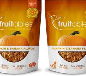 is it ever too cold to take the pooch out