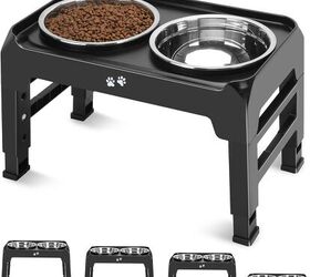 thinking of adopting a senior dog let s get you ready