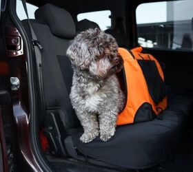 what to consider before moving state with a pet, Dog in car image via Canva