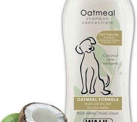 hairless dog breeds that lack a fur coat