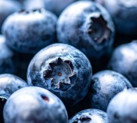 Blueberry Pill Pockets: The Easy Way to Get Your Dog to Take Medicine