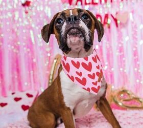 5 adorable valentines day gift ideas your dog will truly love, PTDECOR Reversible Valentine Dog Bandana image via Amazon