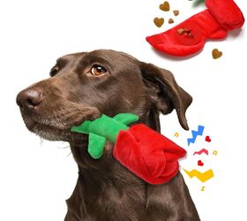 5 adorable valentines day gift ideas your dog will truly love, lilfrd Rose Puzzle Dog Toy Snuffle Mat image via Amazon