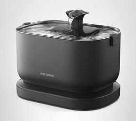 how to encourage your cat to drink more water, PETLIBRO Cat Water Fountain image via Amazon