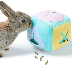 4 tips for keeping a pet rabbit indoors, Large Rabbit Foraging Toy with Bell Washable Puzzle Feed Game image via Amazon