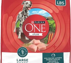 guide to puppy food nourishing your pup for growth